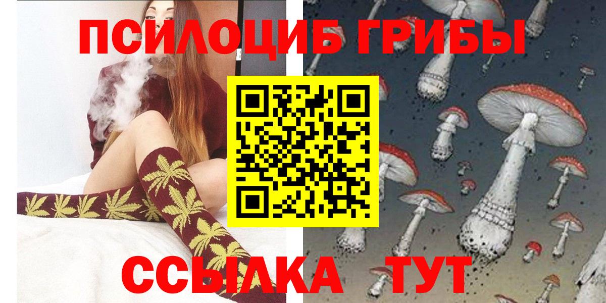Галлюциногенные грибы GOLDEN TEACHER  закладка  Усть-Джегута  Галлюциногенные грибы Psilocybine cubensis  Вход с VPN 